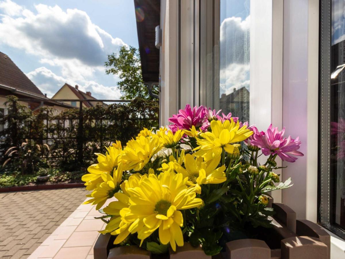 Ferienwohnung Schwarz Gademow エクステリア 写真